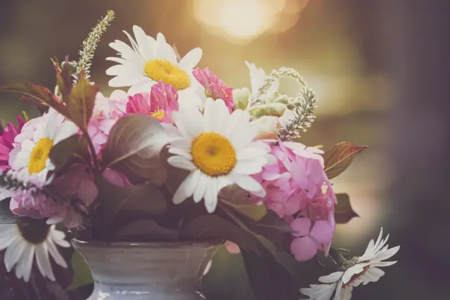Marquee & Banquet Booking — Lumière Weddings, Lahore